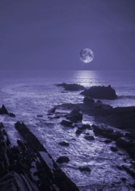 ��ҹ��NP gl��bg��