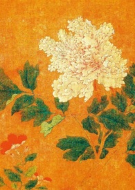 ��汣��Ȼ�󰮣�